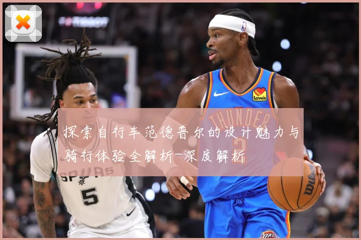 探索自行车范德普尔的设计魅力与骑行体验全解析-深度解析